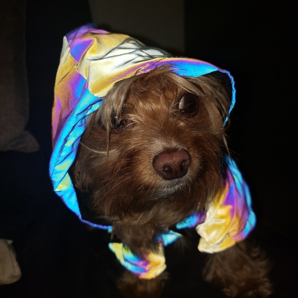 Rainbow Iridescent Reflective Rain Coat - Picture 1 of 5